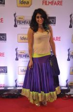 Designer Niharika walked the Red Carpet at the 59th Idea Filmfare Awards 2013 at Yash Raj